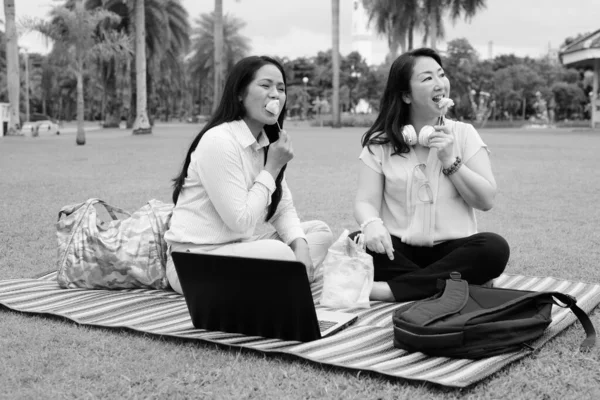 Two mature Asian women together at park relaxing and using laptop computer