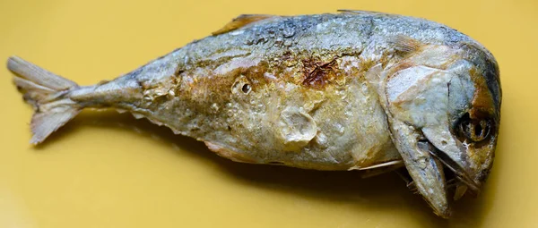 Portrait Fried Mackerel Fish Placed Yellow Background — Foto Stock