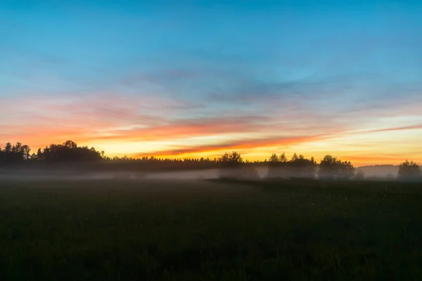 Portrét Mírumilovného Travnatého Pole Mlhou Přelomu Jitra Jako Nádherná Scenérie — Stock fotografie