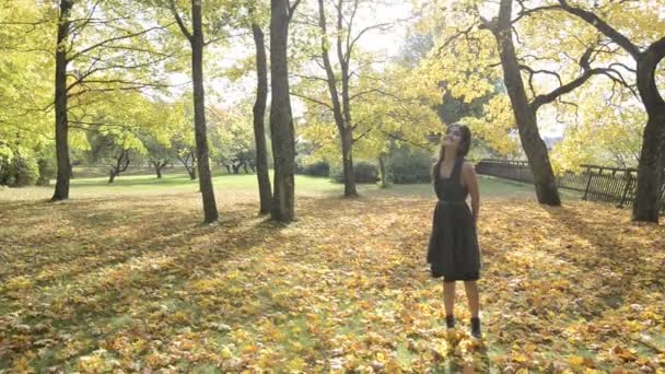Young beautiful Asian woman with autumn trees in the forest — Stock Video