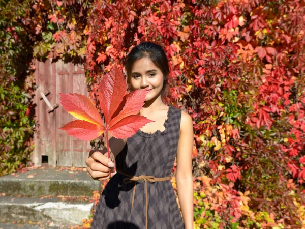 Portret Van Jonge Mooie Aziatische Vrouw Genieten Van Herfst Seizoen — Stockfoto