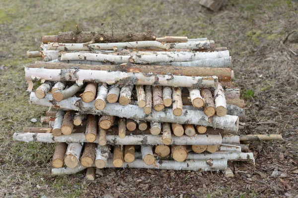 Porträtt Hackad Ved Staplad Utomhus Som Förberedelse För Vintern — Stockfoto