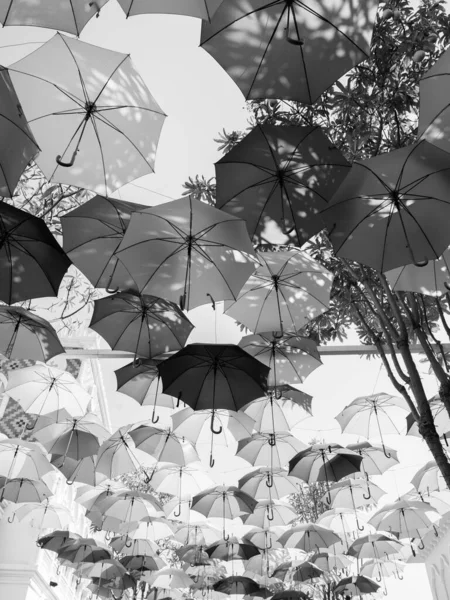 Nombreux Parapluies Suspendus Ensemble Contre Ciel Noir Blanc — Photo