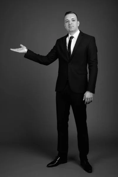 스튜디오에서 흑백으로 바탕에 양복을 사업가의 — 스톡 사진
