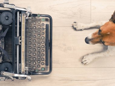 Sevimli köpek yukarıdan bir ahşap zemin üzerinde eski bir daktilo ile göster
