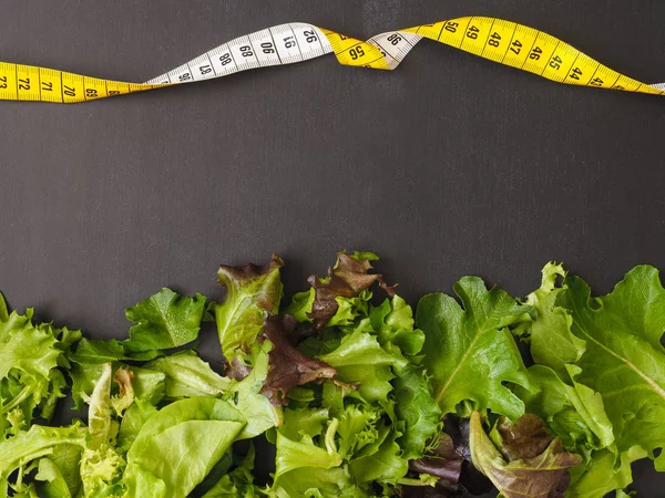 Świeżej Zielonej Sałaty Tablicy Zdrowego Odżywiania Lub Diety — Zdjęcie stockowe