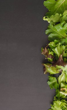 Kara tahta, sağlıklı beslenme veya diyet kavramı üzerinde taze yeşil salata