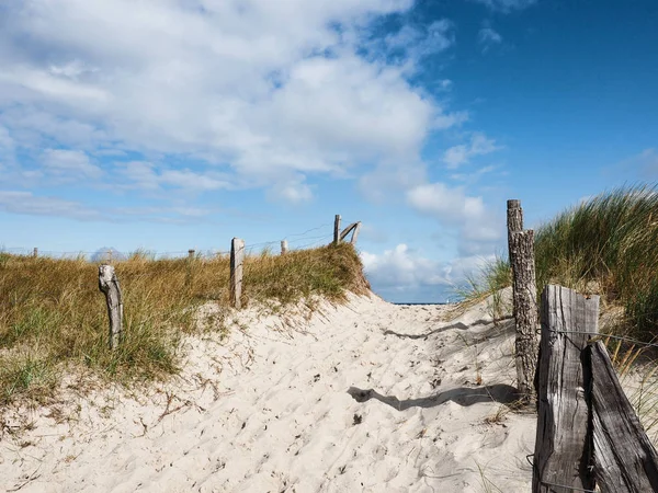 Praia Europeia Com Grama Duna Dia Ensolarado Verão — Fotografia de Stock