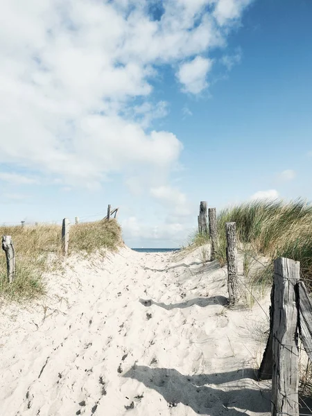 Schöner Weg Zum Strand Einem Sonnigen Sommertag — Stockfoto