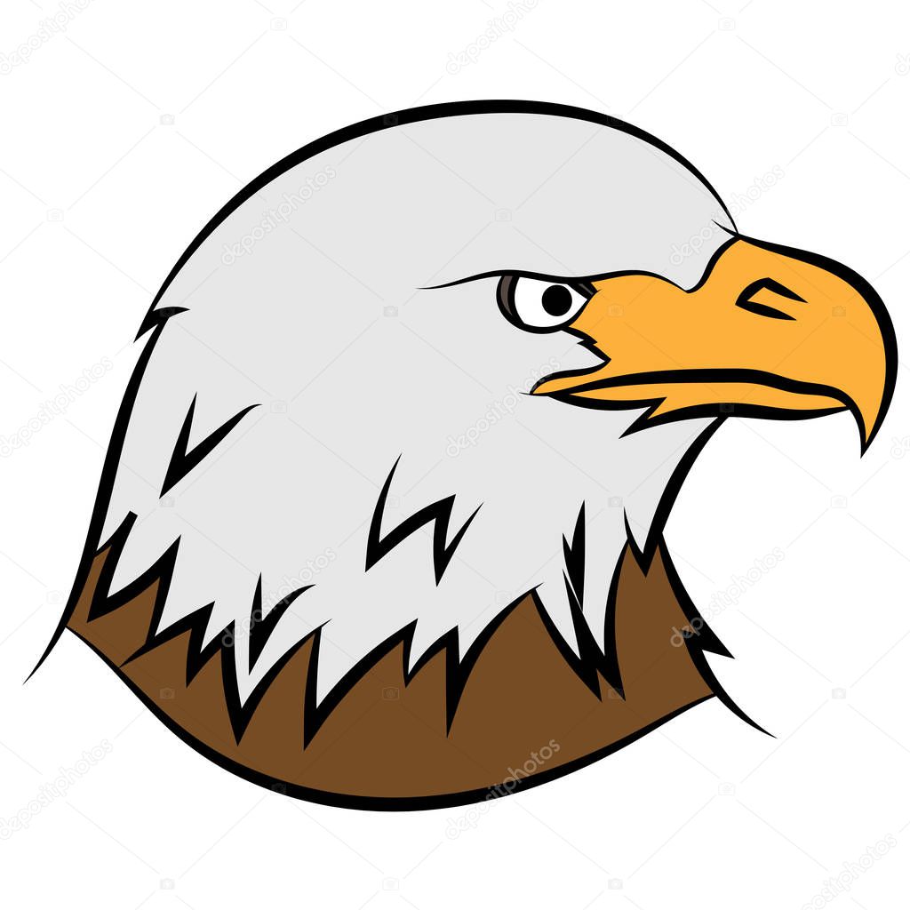 Bald eagle (Haliaeetus leucocephalus) on a white background, vector illustration