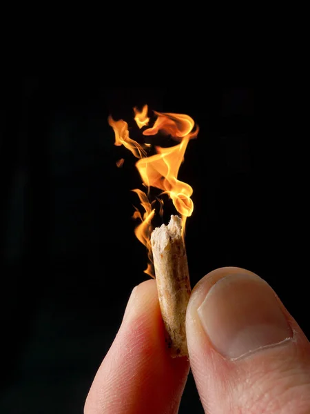 Χέρι Που Κρατά Pellet Από Ξύλο Φλόγες Εναλλακτικές Μορφές Ενέργειας — Φωτογραφία Αρχείου