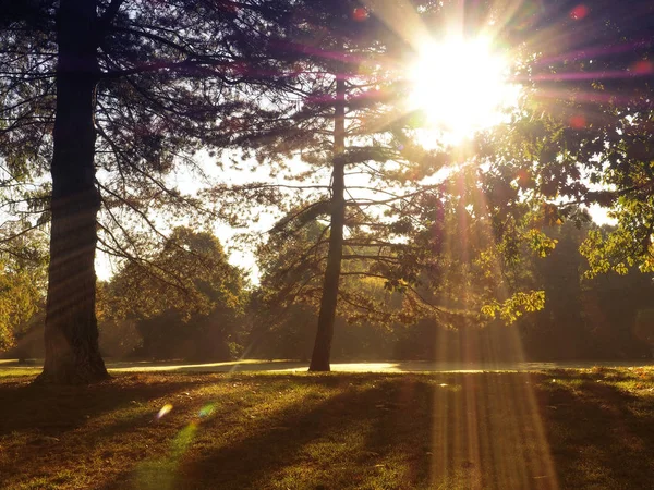 日出与大阳光通过树木 季节性背景 — 图库照片