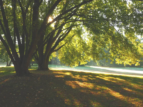 Lever Soleil Dans Petit Parc Arrière Plan Saisonnier Paysage Automne — Photo