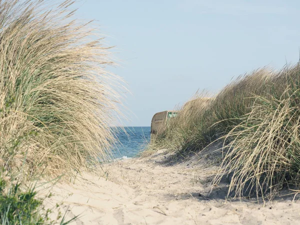 Pathway to the beach — Stock Photo, Image