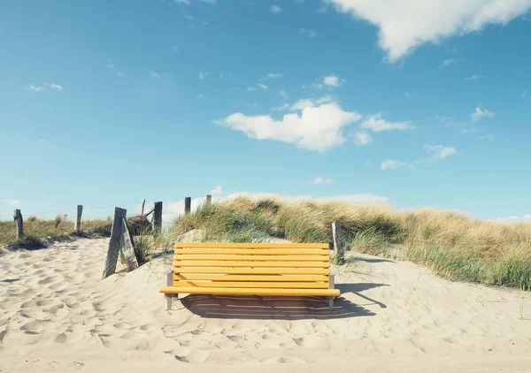 Üres sárga padon a strandon — Stock Fotó