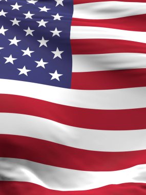 Amerika Birleşik Devletleri bayrağını sallıyor.