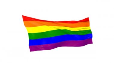 Beyaz arka planda gökkuşağı bayrağı sallamak