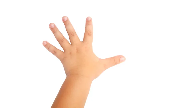 Kind Hand Een Witte Achtergrond — Stockfoto
