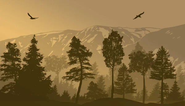 Pine forest landscape background, vector illustration