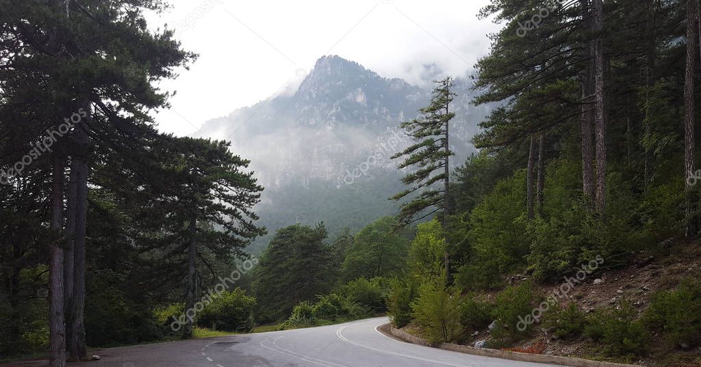 Mountain road. Landscape with trees,mountain and fog