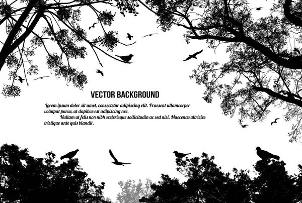 Birds in the tree and flying on white background, vector illustration