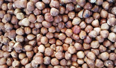 Arka plan olarak soyulmuş fındık