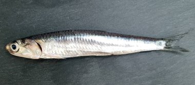 Karanlık taş arka plan üzerinde sardalya