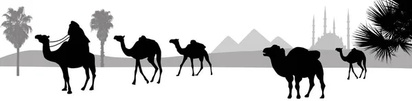 Camel Caravane Traversant Désert Illustration Vectorielle — Image vectorielle