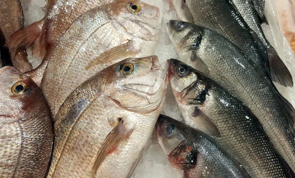 新鮮な魚の市場での販売のための氷の上 — ストック写真