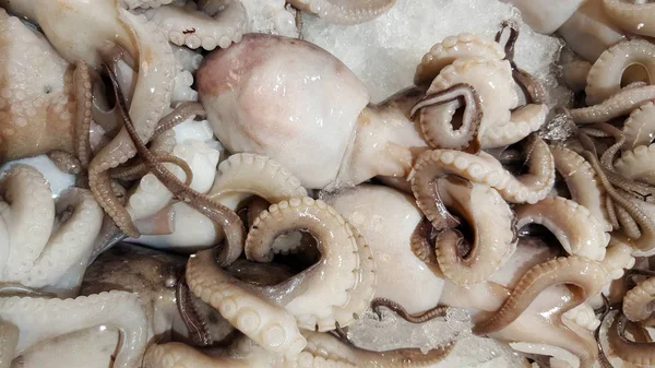 Frischer Oktopus Auf Eis Zum Verkauf Auf Dem Markt — Stockfoto