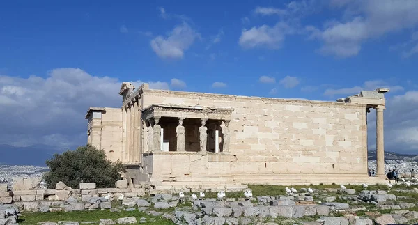 Ruiny Świątyni Erechtejon Świątyni Athene Obiekcie Acropolis Ateny Grecja — Zdjęcie stockowe