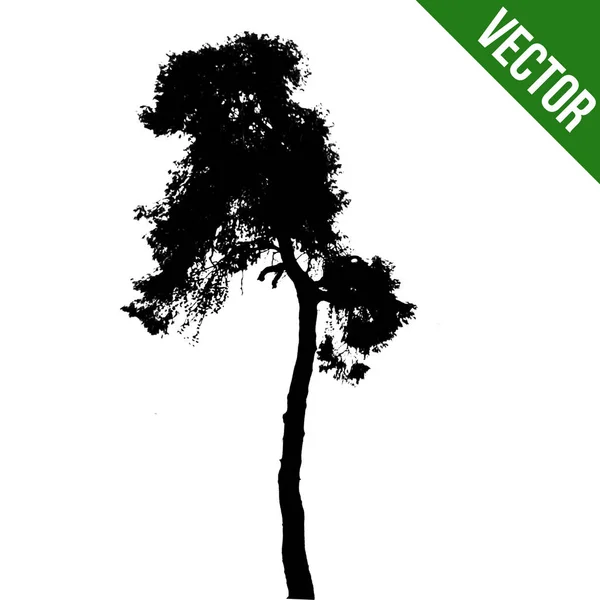 白い背景に ベクター グラフィックの美しいツリー シルエット アイコン — ストックベクタ
