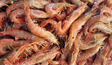 Satılık balık pazarı için arka plan olarak taze karides