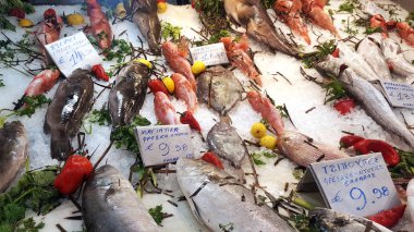 ATHENS, GREECE - JANUARY 16, 2019: Fresh seafood arrangement displayed in fish market on Athens, Greece