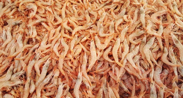 Свіжі Креветки Фон Продаж Рибному Ринку — стокове фото