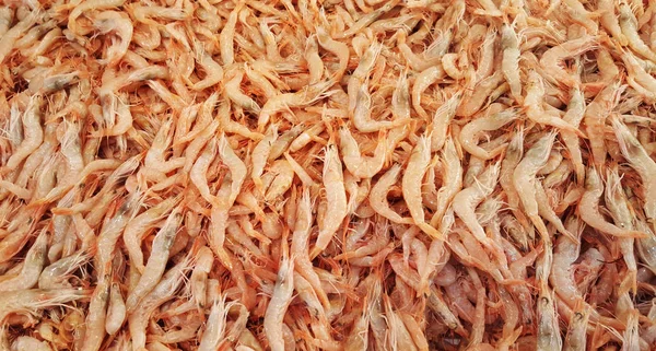 Camarones Frescos Como Fondo Para Venta Mercado Pescado — Foto de Stock