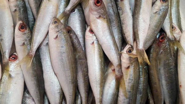 Fresh Fish Ice Market — Stock Photo, Image