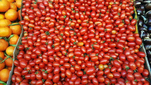 Group Fresh Tomatoes Sale Market — Stock Photo, Image