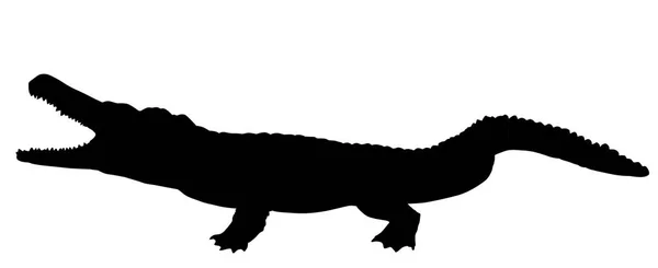 Crocodile Silhouette White Background Vector Illustration — Stock Vector