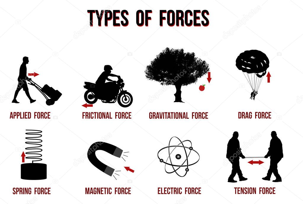 Types of forces chart, vector illustration ( for basic education and Schools )