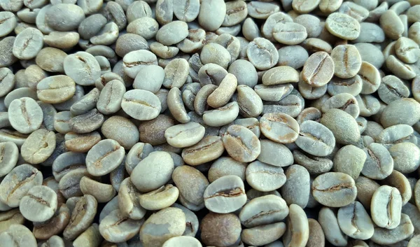 Green coffee beans — Stock Photo, Image