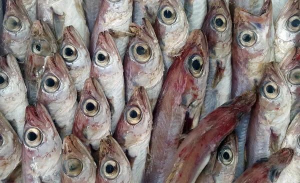 販売のための新鮮な魚 — ストック写真