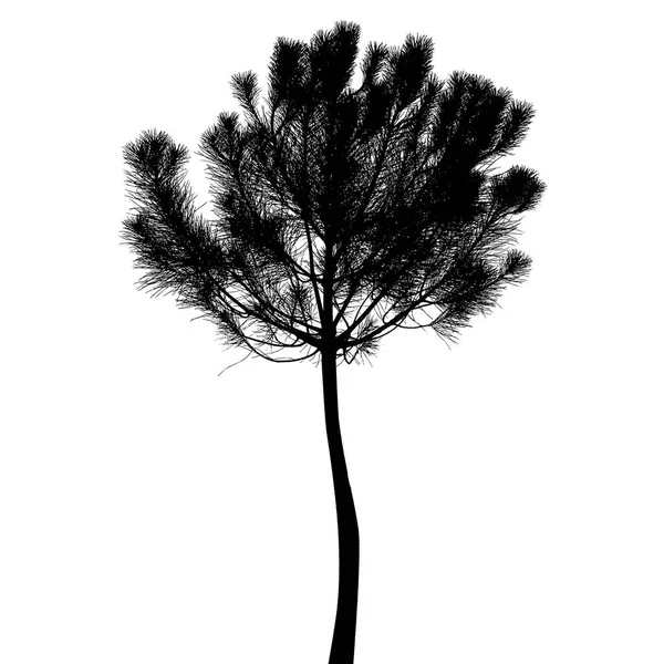 Vackert Träd Silhouette Ikonen Vit Bakgrund Vektorillustration — Stock vektor