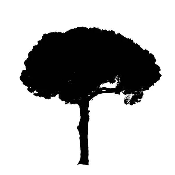Strom na bílém pozadí — Stockový vektor