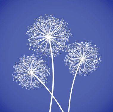 Üç dandelions kümesi