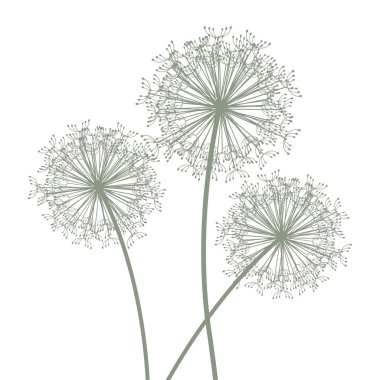 Üç dandelions kümesi