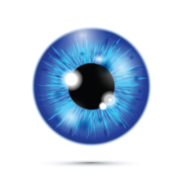 Bulbo Oculare Realistico Blu — Vettoriale Stock