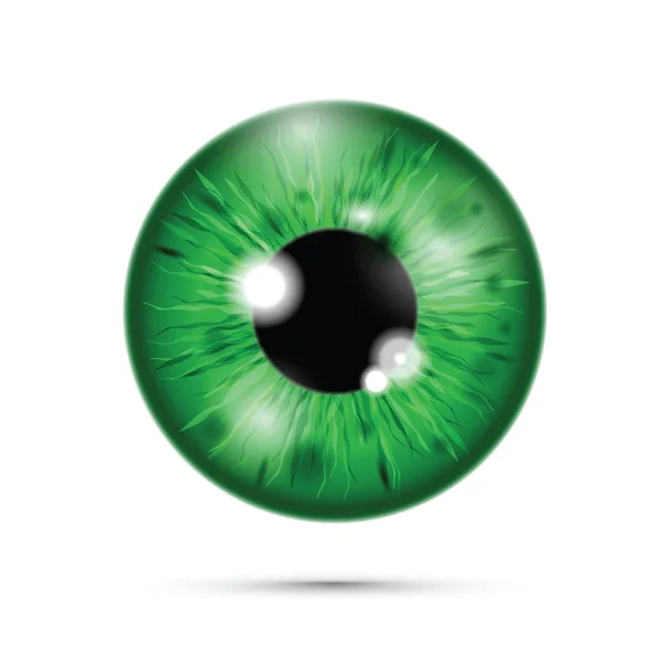 Globo Ocular Verde Realista — Vetor de Stock