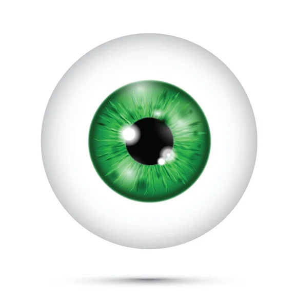 Green Realistic Eyeball — Stock Vector