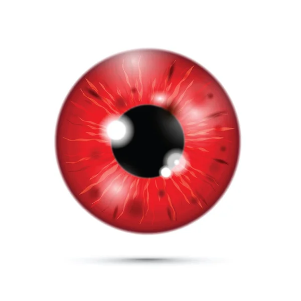 Red Realistic Eyeball — Stock Vector